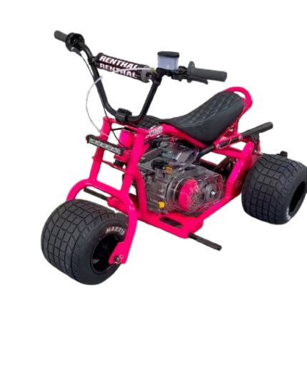 Pink Custom Mini Trike