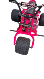 Pink Custom Mini Trike