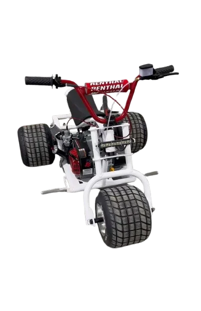 Red & White Mini Trike